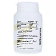 Curcuma 500 mg Kapseln 120 St