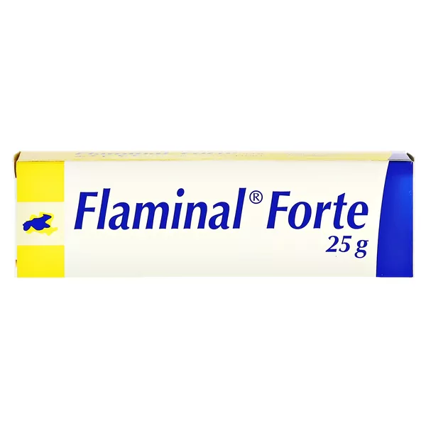 Flaminal Forte Enzym Alginogel 25 g