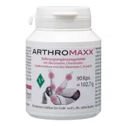 ARTHROMAXX 90 St