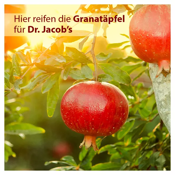 Dr. Jacob’s Granatapfel-Elixier mediterran hochkonzentriert 500 ml