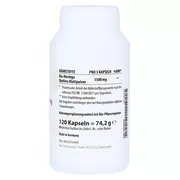 Moringa Oleifera 500 mg Kapseln 120 St