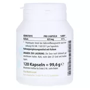 Kaliumcitrat 560 mg Kapseln, 120 St.