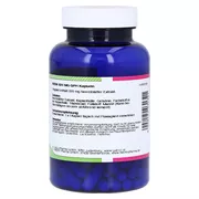 NEEM 320 mg GPH Kapseln, 120 St.