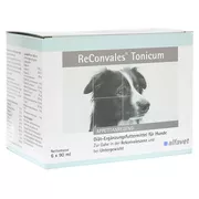 Reconvales Tonicum für Hunde 6X90 ml