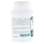 Himbeerketone 500 mg Kapseln 90 St