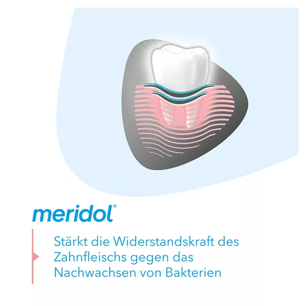meridol Zahnpasta Zahnfleischschutz & Sanftes Weiss 75 ml