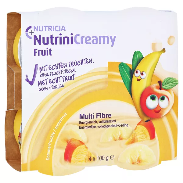 Nutrini Creamy Fruit Sommerfrüchte, 4 x 100 g