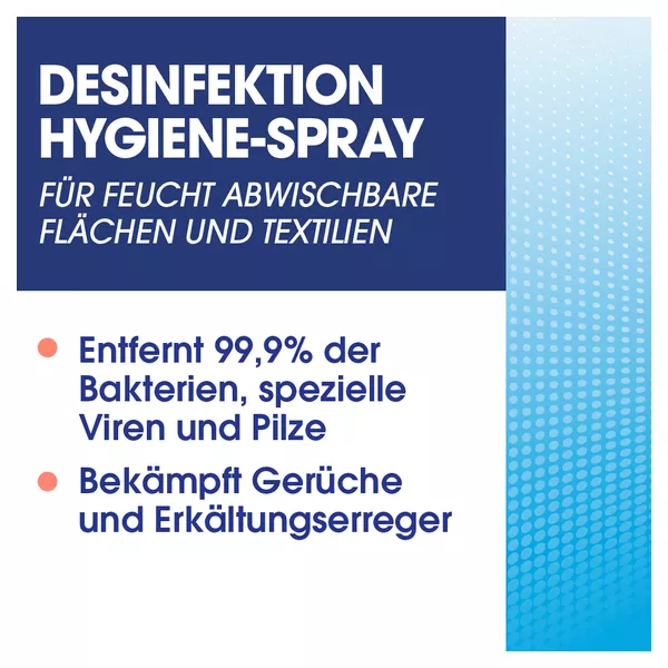 SAGROTAN Hygiene-Spray, 500 ml