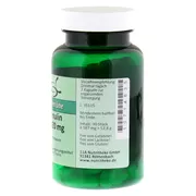 Inulin 420 mg Kapseln 90 St