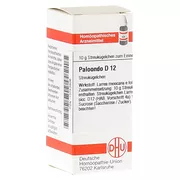 Paloondo D 12 Globuli 10 g