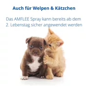 Amflee 2,5 mg/ml Spray L�sung f.Hunde/Katzen 100 ml 100 ml