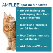 Amflee 50 mg Spot-on Lösung z.Auftropfen f.Katzen 3 St 3 St