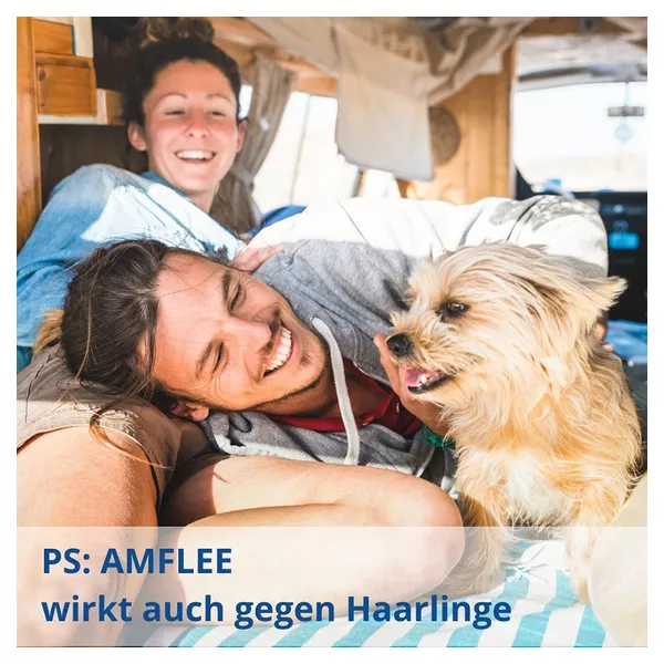 Amflee 67 mg Spot-on Lsg.f.kleine Hunde 2-10kg 3 St 3 St