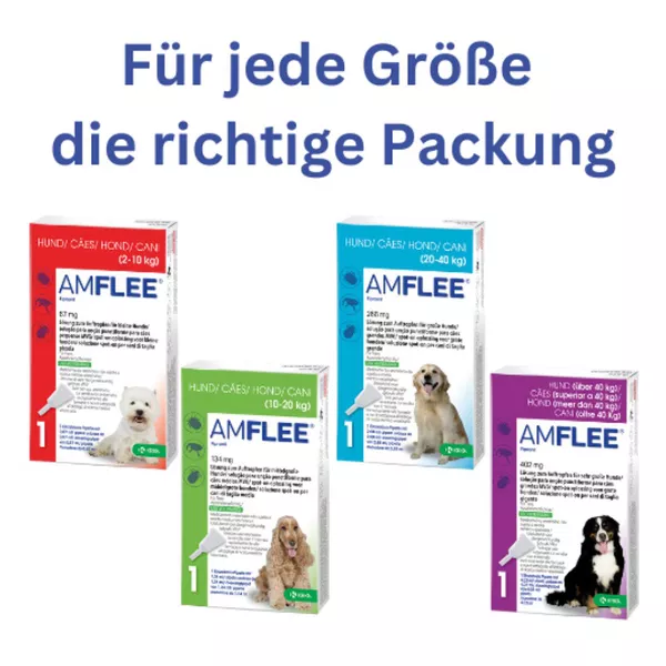 Amflee 67 mg Spot-on Lsg.f.kleine Hunde 2-10kg 3 St 3 St