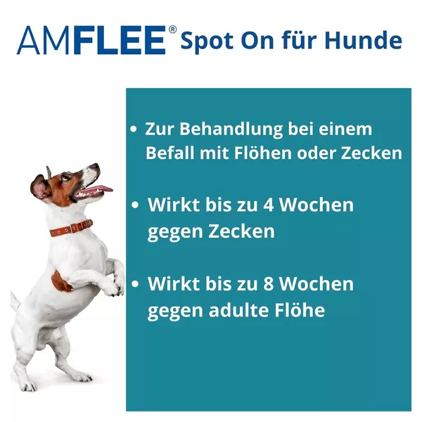 Amflee 268 mg Spot-on Lsg .f. große Hunde 20-40kg 3 St