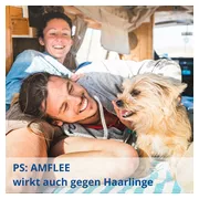 Amflee 402 mg Spot-on Lsg.f.sehr gr.Hunde 40-60kg 3 St 3 St