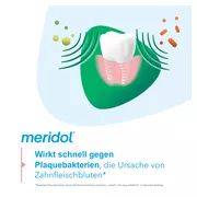 meridol Mundspülung Frischer Atem & Zahnfleischschutz 400 ml