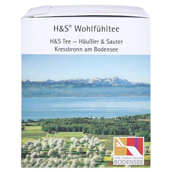 H&S Vitaltee Heißer Holunder 20X2,0 g