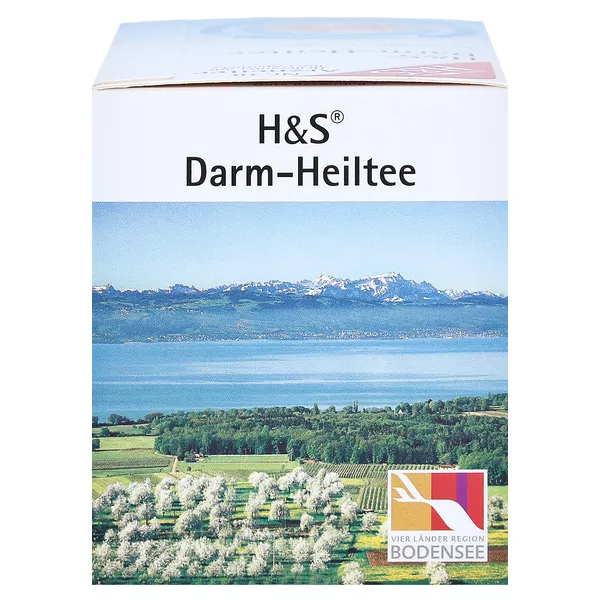 H&S Darm-Heiltee 20X2,0 g