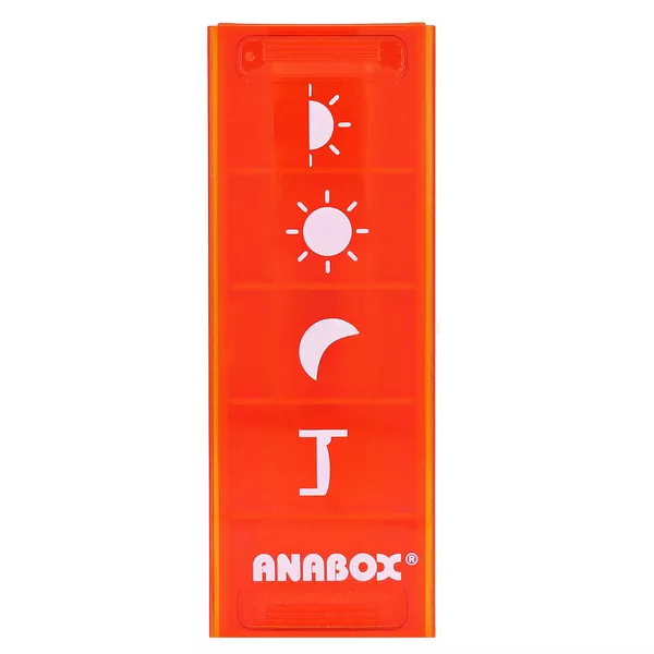 Anabox Tagesbox bunt Pikto 1 St