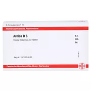 Arnica D 6 Ampullen 8X1 ml