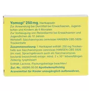 Yomogi 250 mg Hartkapseln 20 St
