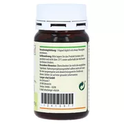 Vitamin B Komplex Kapseln 200 St