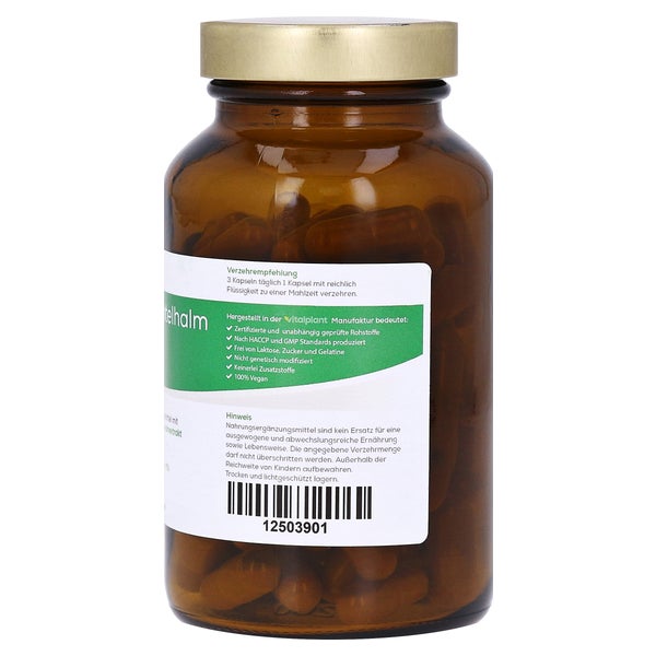 Ackerschachtelhalm 500 mg Extrakt Vitalp 90 St