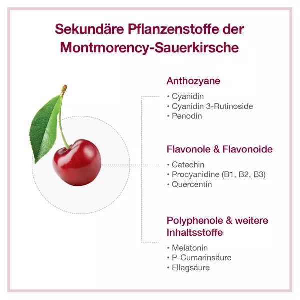CHERRY PLUS - Montmorency-Sauerkirsch-Konzentrat, 500 ml