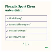 Floradix Sport Eisen Tonikum, 250 ml