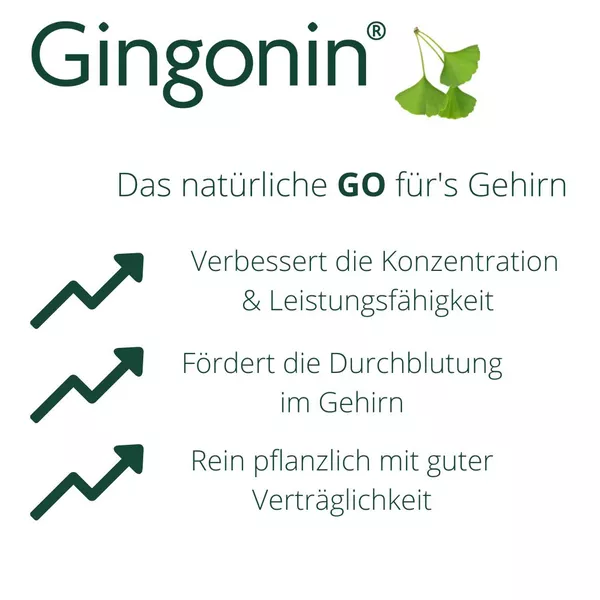 Gingonin 120 mg Hartkapseln 60 St