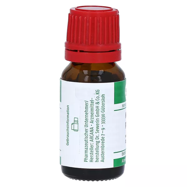 Kalium Permanganicum LM 1 Dilution, 10 ml