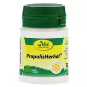Propolis Herbal Pulver vet. 20 g
