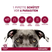 Advantix Spot-on Hunde 25-40 kg 4X4,0 ml