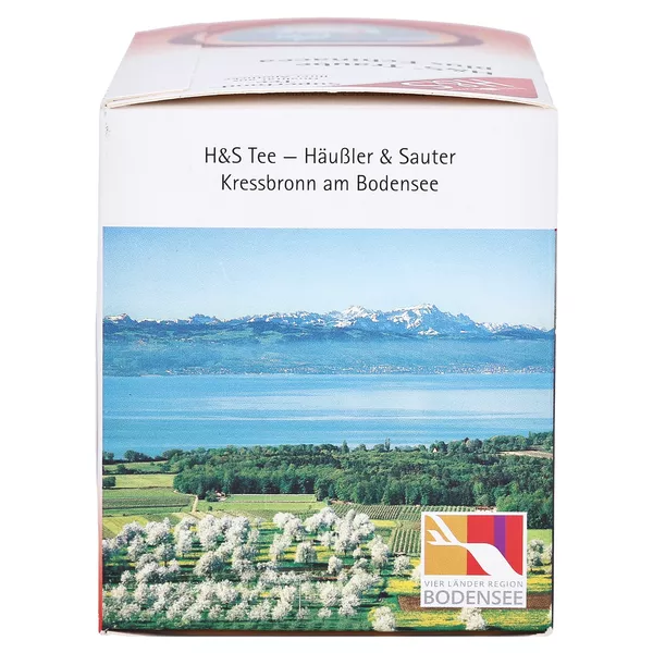 H&S Traube plus Echinacea 20X2,5 g