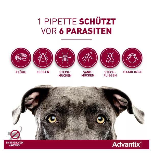 Advantix Spot-on Hunde 40-60 kg 4X6,0 ml