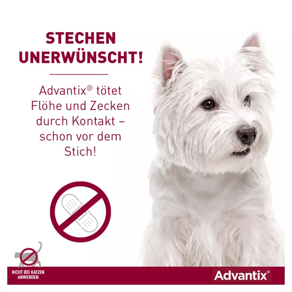 Advantix Spot-on Hunde 40-60 kg 4X6,0 ml