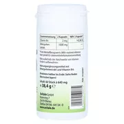 Avitale Bittergurke 500 mg 10:1 Extrakt 60 St