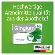 Gingium 120 mg 60 St