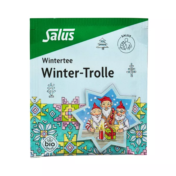 Winter-trolle Gewürztee Bio Salus Filter 15 St