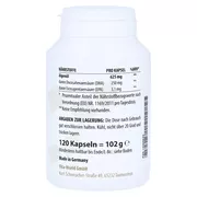 Omega-3 Vegan Algenöl 625 mg Kapseln 120 St