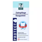 PROTECT Zahnpflege Kaugummi 20 St