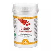 Dr. Jacob’s Eisen-Phospholipid Mango Pulver liposomal vegan 64 g