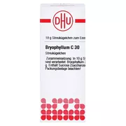 Bryophyllum C 30 Globuli 10 g