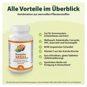 Dr. Jacob's Boswellia MSM forte Weihrauch Quercetin OPC 90 St