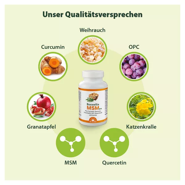Dr. Jacob's Boswellia MSM forte Weihrauch Quercetin OPC 90 St