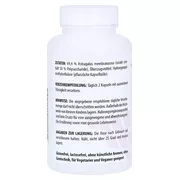 Astragalus Extrakt 500 mg Kapseln 120 St