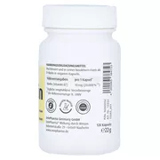 Biotin 10 mg Kapseln hochdosiert 120 St