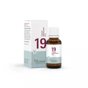 Schüßler-Salz Nr. 19 Cuprum arsenicosum D12 15 g