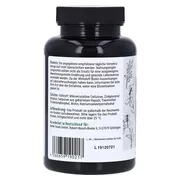 VIRISOLIS Biotin-Zink-Selen FORTE 12 Mon. Vegan 365 St